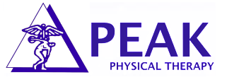 peak logo color (1)